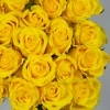 Geltonos rožės pristatymas Vilniuje internetu gera kaina