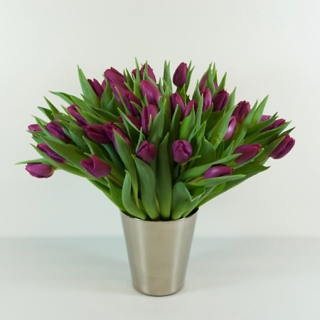 Свежие цветы