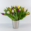 Tulips flower delivery in Vilnius