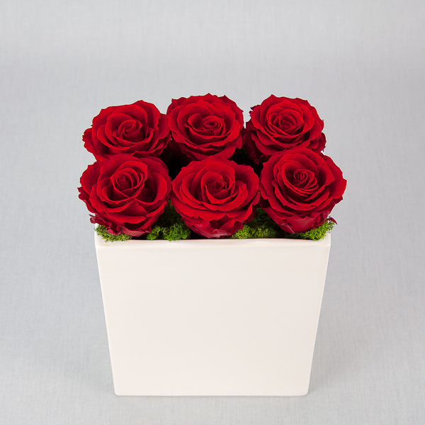 Preserved flower arrangement