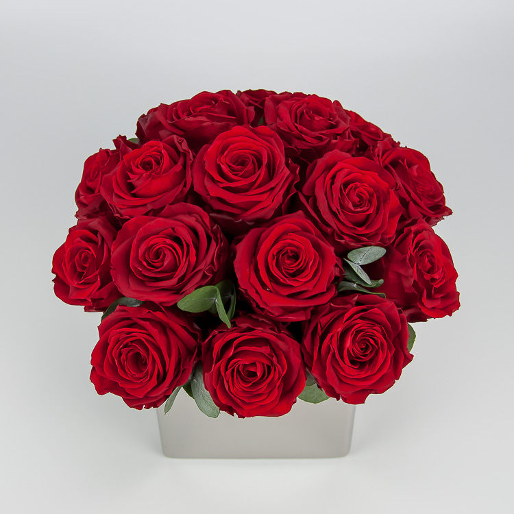 Miegančios rožės. Pristatymas visoje Lietuvoje