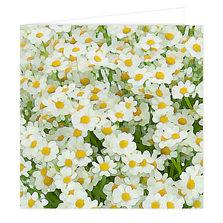 Greeting Card and flower delivery Vilnius