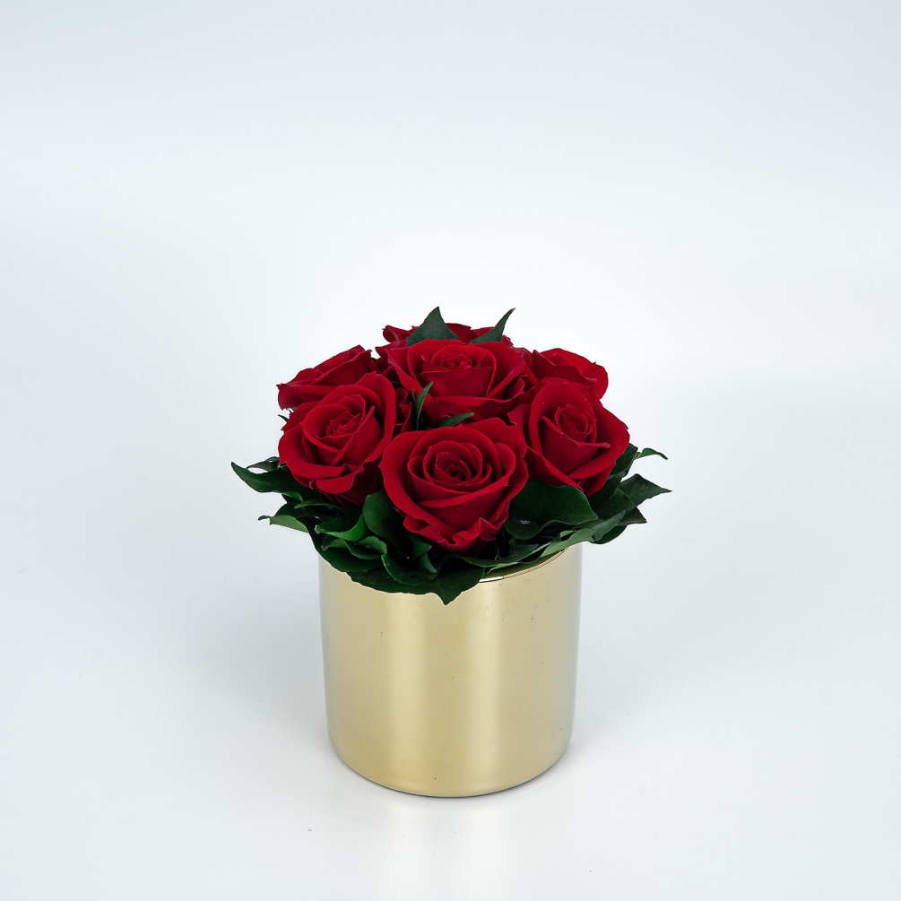 Стабилизированные красные розы Golden Red M